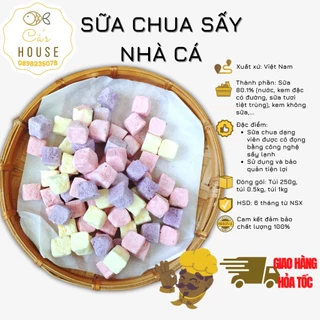 Sữa Chua Sấy Lạnh Nhà Cá Giòn Tan Thơm Ngon Bổ Dưỡng Hấp Dẫn