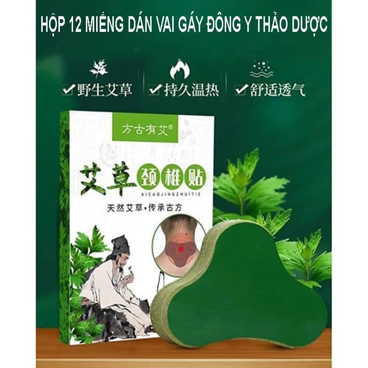 Combo 5 hộp 12 Miếng dán cổ gáy dán vai dán lưng