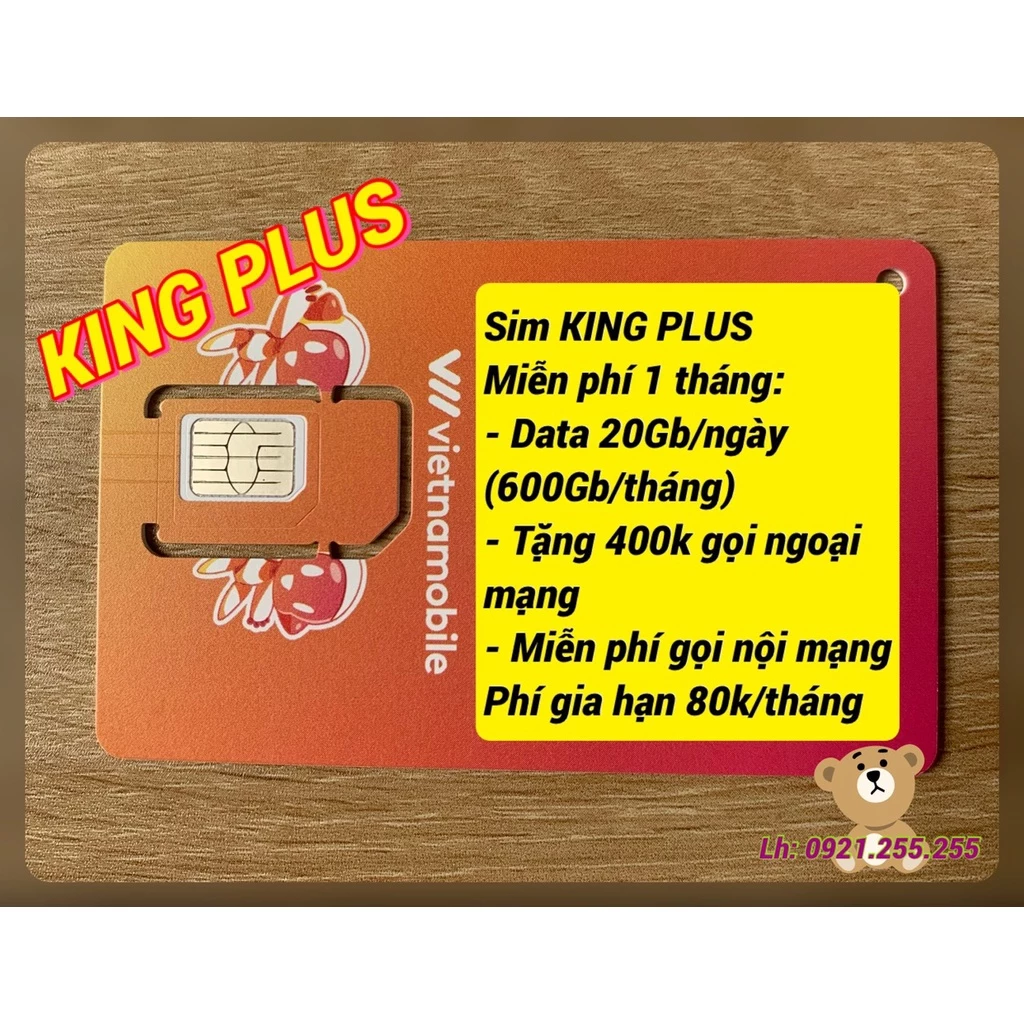 Sim 4G Vietnamobile King plus 600Gb/tháng, King 300Gb, Shopee 180Gb, Chất 120Gb.....[Miễn phí 1 tháng]