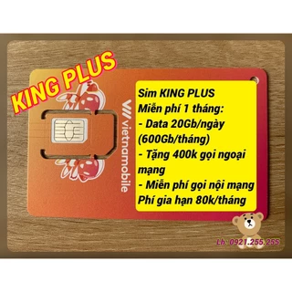 Sim 4G Vietnamobile King plus 600Gb/tháng, King 300Gb, Shopee 180Gb, Chất 120Gb.....[Miễn phí 1 tháng]