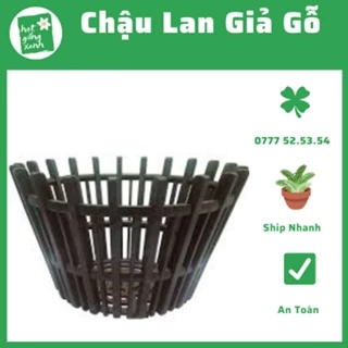 Chậu nhựa trồng lan giả gỗ, chậu lan que, chậu nhựa trồng lan