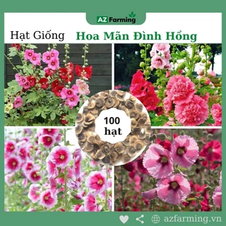 Hạt Giống Hoa Mãn Đình Hồng Mix Màu - Gói 100 Hạt - AZ Farming