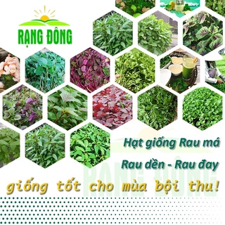 Hạt giống Rau Đay - Rau Dền - Rau Má trồng quanh năm, Hạt giống rau củ quả trồng chậu - Hạt giống Rạng Đông