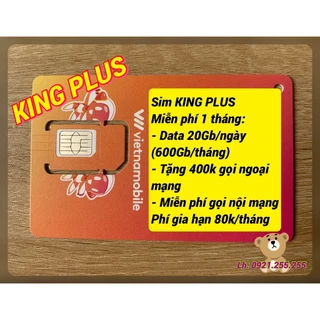 Sim Vietnamobile 4G King plus 600Gb/tháng, King 300Gb, Shopee 180Gb, Chất 120Gb.....[Miễn phí 1 tháng]