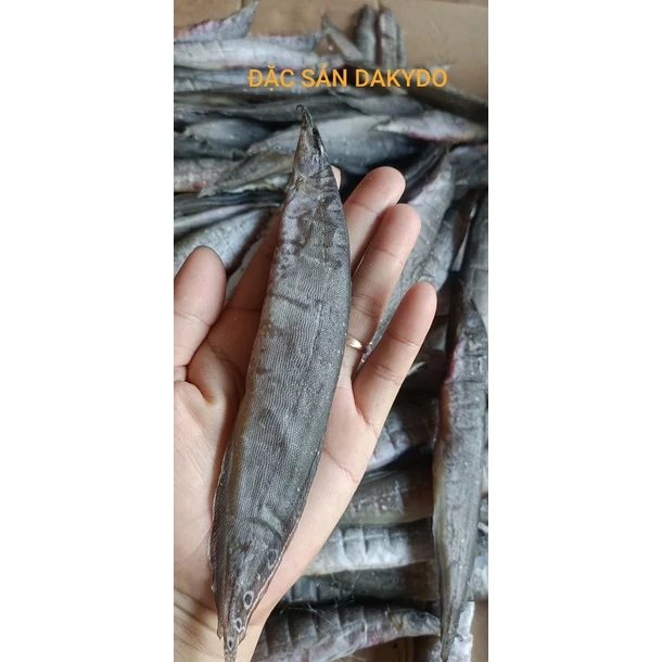 Khô cá trạch (chạch) đồng loại lớn,1kg, thương hiệu đặc sản Dakydo (An Giang) ăn là ghiền!