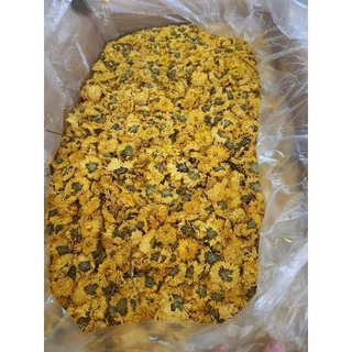Combo 1 Kg Hoa cúc vàng sấy khô nguyên bông