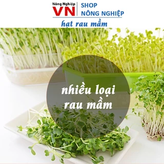 Các loại rau mầm dễ trồng, ăn ngon, nhanh thu hoạch, hạt giống chất lượng cao