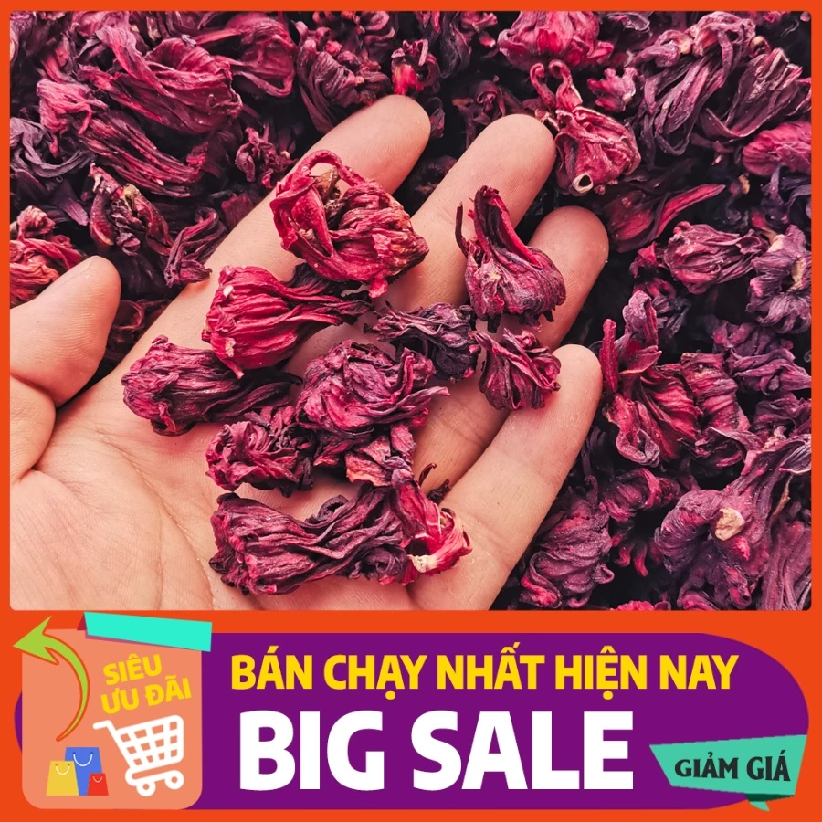 Hoa Atiso Đỏ 100g [HÀNG LOẠI 1] Sấy Khô , Hoa Bụp Giấm, Bông Dâm Bụt Loại Đẹp, Nguyên Chất