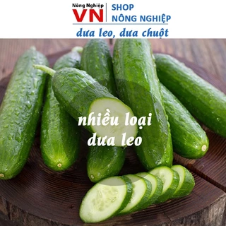 Nhiều loại dưa leo, dưa chuột dễ trồng, ăn ngon, giòn thơm (hãng rạng đông)