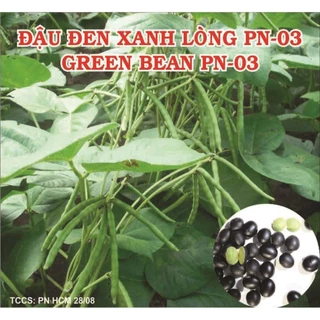 Hạt giống đậu đen xanh lòng - 100gr Túi - chhg