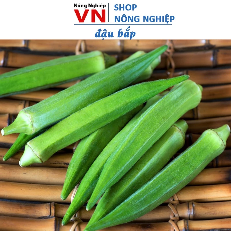 Hạt Giống Cây Đậu Bắp Sai Quả Dễ Trồng Gói 20Gram