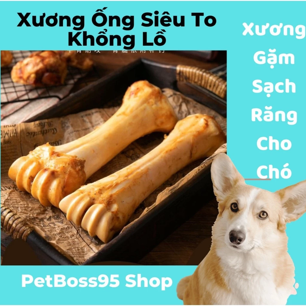 XƯƠNG ỐNG BÒ TỰ NHIÊN, XƯƠNG GẶM CÁC LOẠI SẠCH RĂNG CHO CHÓ TRƯỞNG THÀNH