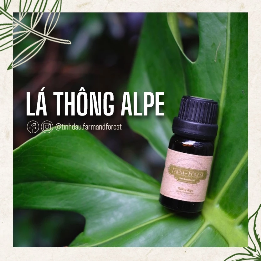 Tinh Dầu Lá Thông Alpe 10ml, Tinh Dầu Thiên Nhiên Nguyên Chất, Farm & Forest, Làm Thơm Phòng, Khử Mùi.