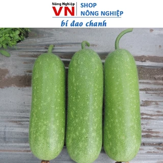 Hạt Giống Bí Đao Chanh F1 Dễ Trồng, Siêu Trái 0.2gr