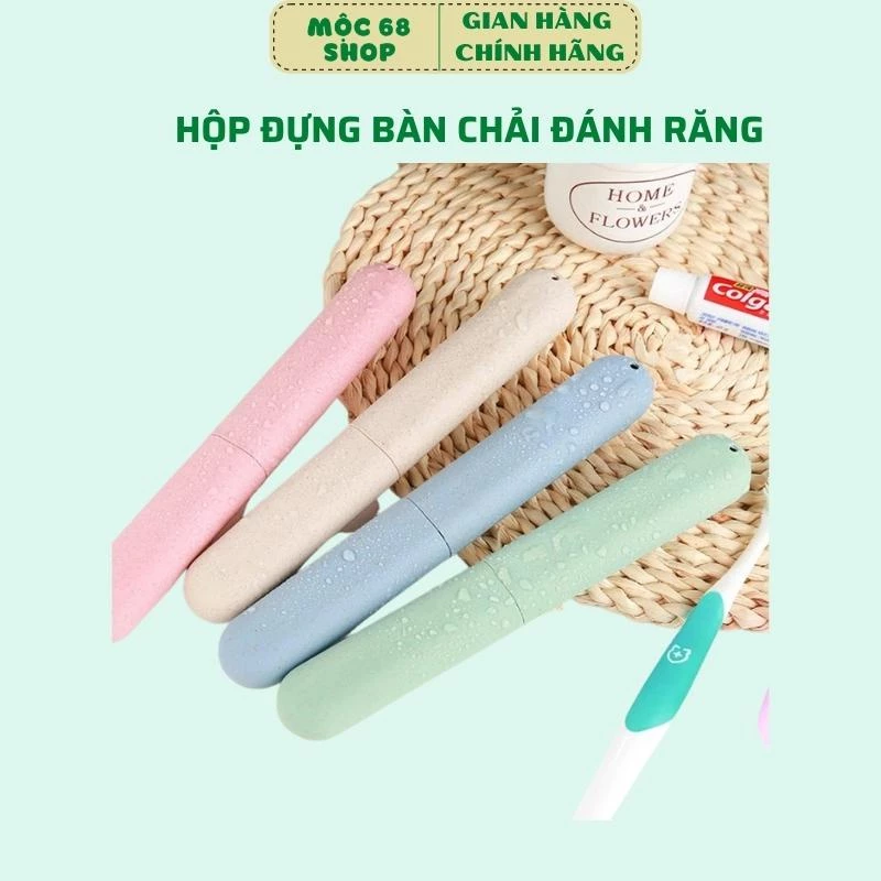 Hộp đựng bàn chải kem đánh răng nhỏ gọn tiện lợi cho cắm trại du lịch ngoài trời (Hộp nhỏ)