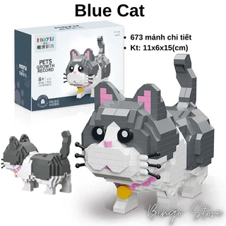 MÔ HÌNH LẮP RÁP BLUE CAT 673 CHI TIẾT