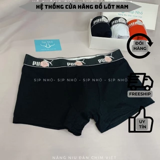 Quần sịp nam quần lót nam cotton boxer đùi cao cấp