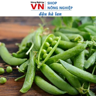 Hạt Giống Đậu Hà Lan Tốt Cho Da và Tóc Gói 10Gram