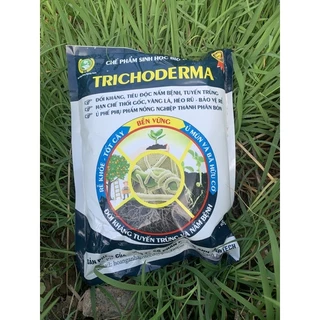 Chế phẩm Sinh Học BIO HA3 Trichoderma (Gói 1kg)