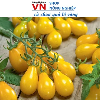 Hạt giống cà chua bi lê vàng 0.1gram