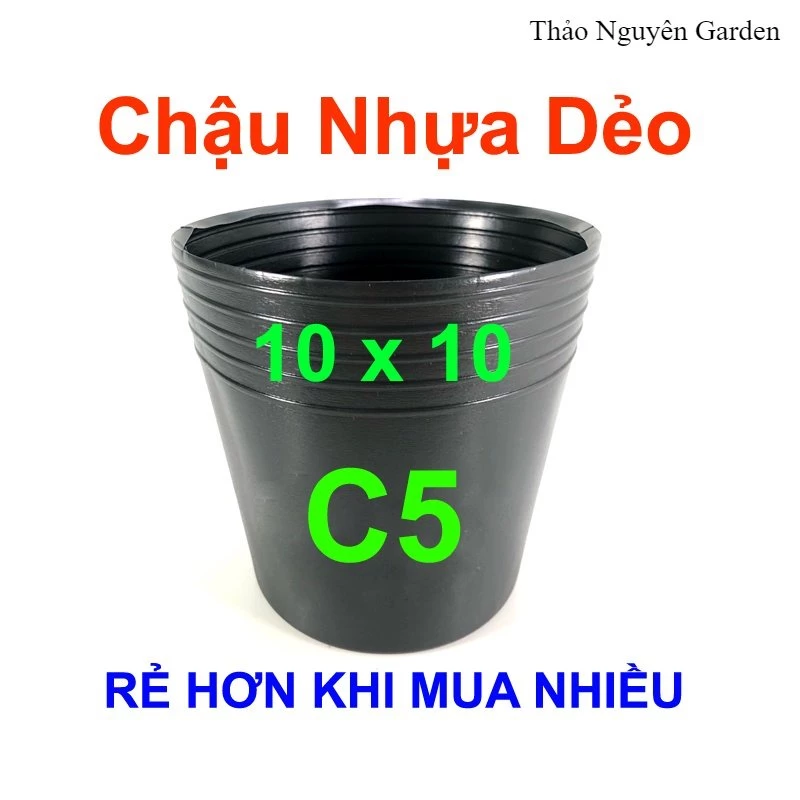 Chậu nhựa đen C5 (10x10cm) Liên An ươm cây con, ươm hạt giống, vỉ ươm, túi ươm | Thảo Nguyên Garden