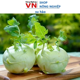 Hạt Giống Su Hào Xanh 2Gram