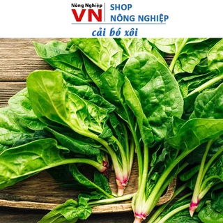 Hạt giống cải bó xôi ( rau bina, rau chân vịt ) rất nhiều dinh dưỡng tốt cho trẻ nhỏ và ngưới già.