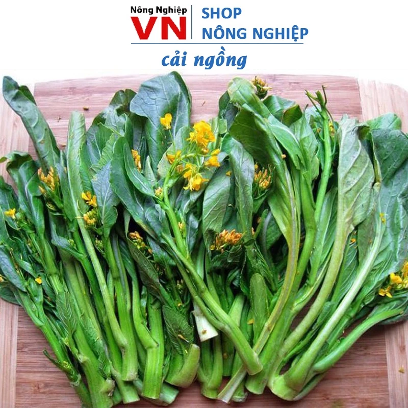 Hạt giống cải ngồng, cải ăn hoa 20gr