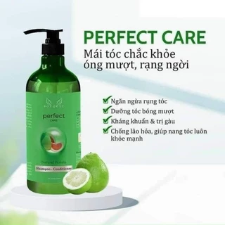 Dầu Gội Bưởi Bouquet Perfect Care 500ml - Phục Hồi Tóc, Giảm Gãy Rụng ( kèm gói ủ mượt tóc )