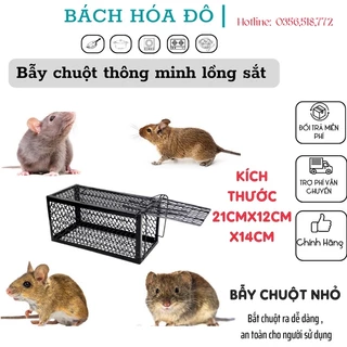 Bẫy chuột thông minh lồng sắt có sẵn dài 22cao12 rộng 17 Lồng bẫy chuột,lồng bắt chuột nhỏ(tặng miếng dán ruồi )