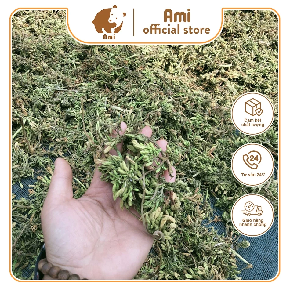 Hoa đu đủ đực khô ⚡ ĐẢM BẢO CHẤT LƯỢNG ⚡ 500gr hoa đu đủ đực khô nhà làm 100% nụ, hoa, không lẫn tạp chất