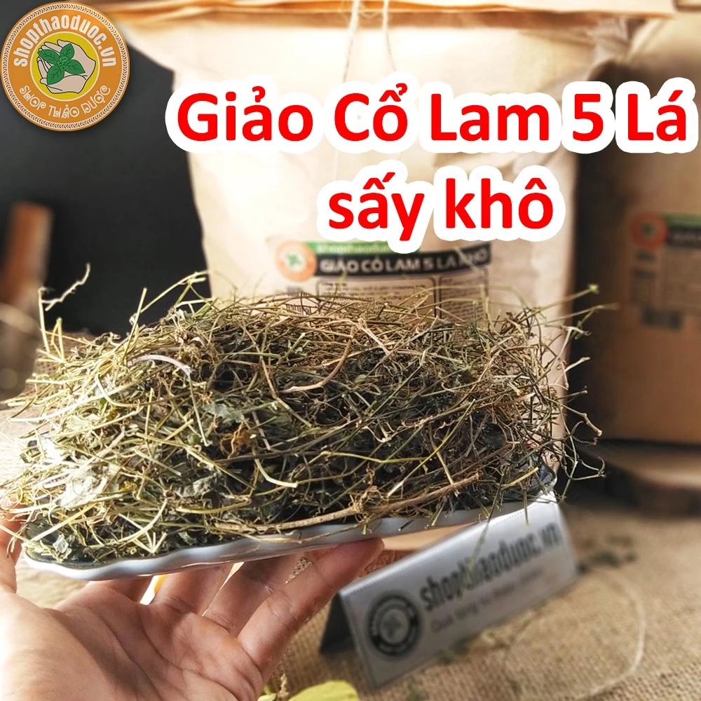 (Video) Combo 1KG Giảo Cổ Lam - Hỗ Trợ Điều Trị Mở Máu Cao