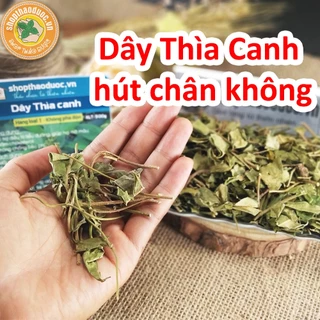 [Video] Combo 1KG Dây Thìa Canh ( 2 Gói 500G ) - Giúp Ổn Định Đường Huyết Hiệu Quả