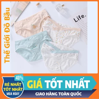 Set 4 quần lót bầu cao cấp 100% cotton loại 1 đủ size m-l-xl-xxl