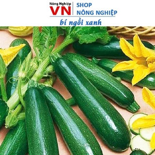 Hạt Giống Bí Ngòi Xanh 1 gram