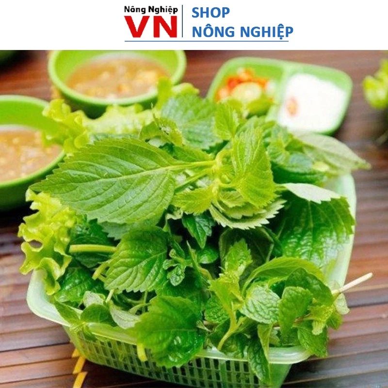 1Gr - Hạt Giống Lá Cây Rau Kinh Giới