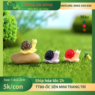 TT59 - ốc sên màu trang trí tiểu cảnh sen đá, xương rồng, bonsai, cây để bàn