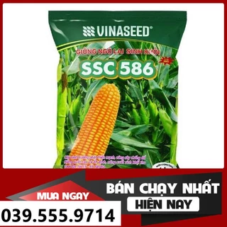 HẠT GIỐNG NGÔ SINH KHỐI SSC586 1KG - GIỐNG CHUẨN SIÊU NĂNG SUẤT