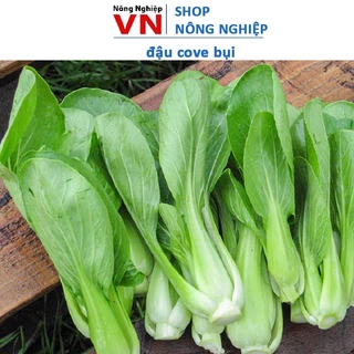 10Gr Hạt Giống Cải Thìa, Cải Chíp Xanh Dễ Trồng, Ngọt