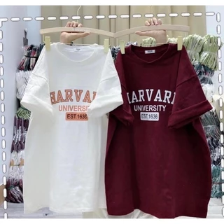 Áo Thun Tay Lỡ Cotton Khô 3158 Form Rộng Nam Nữ HARVARD