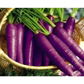 150h Hạt Giống Cà Rốt Tím Purple Giàu Anthocyanin