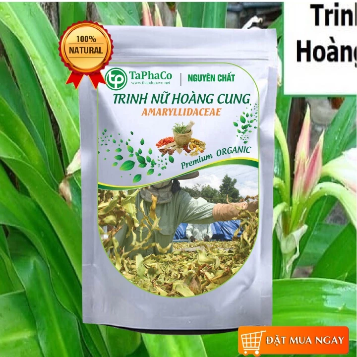 Lá trinh nữ hoàng cung sấy khô 500g - tán phát