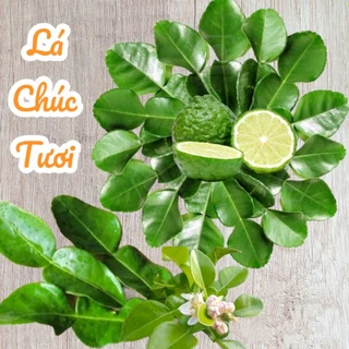 Lá Chúc Tươi, Lá Chanh Thái An Giang - 500g