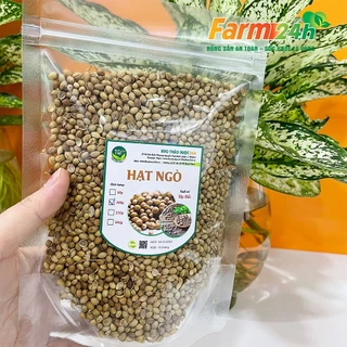 [500gr] Hạt ngò (hạt mùi) khô gia vị nấu phở, nấu sâm ngon, cải thiện tiêu hóa, tốt cho răng miệng | Farm24h