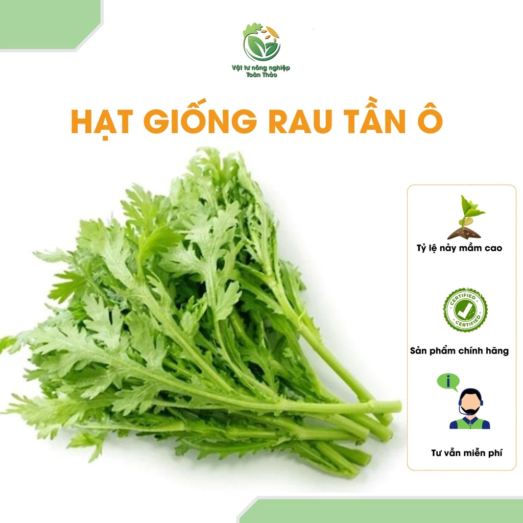 Hạt Giống Rau Tần Ô H&V 50gr  (CẢI CÚC) - Hạt Giống Cải Cúc Dễ Trồng, Giàu Dinh Dưỡng