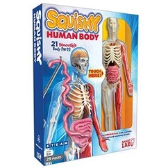 Đồ chơi thông minh - Squishy Human Body (SmartLab Toys) Mô hình Giải Phẫu Cơ Thể Người 3D Learning Resources