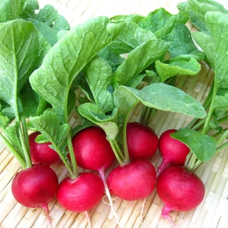 1Gr Hạt Giống Củ Cải Đỏ Cherry