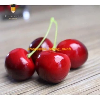 Quả Cherry - Quả anh đào giả - Dùng Decor, trang trí, phụ kiện chụp ảnh