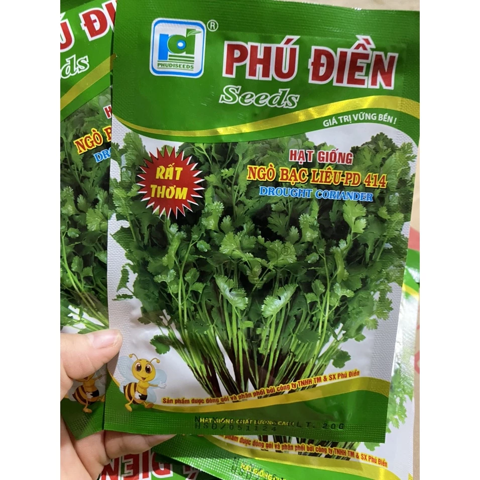 20g Hạt giống rau Mùi, Ngò Thân Tía Bạc Liêu ( siêu thơm )