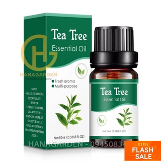 Tinh Dầu Hương Trà Xông Phòng Cao Cấp Thiên Nhiên Khử Khuẩn, Thư Giãn Hiệu Quả - 10ml